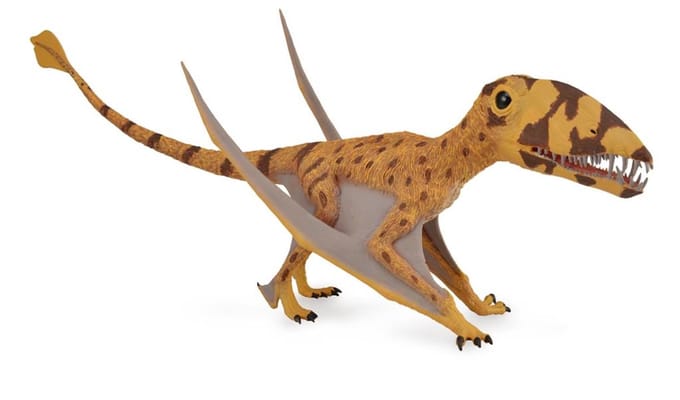 COLLECTA Figurine - Dimorphodon - 1:40 - Prehistorie - Handgeschilderd - Miniatuur