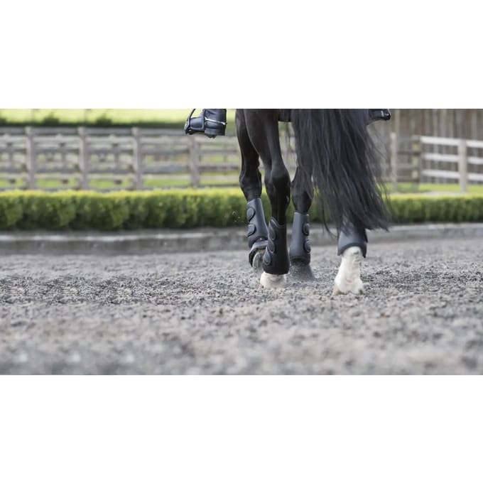 Achterlaarzen voor paarden LeMieux