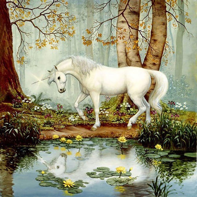 Peinture diamant licorne et fée, broderie complète, ronde, point de croix, strass 30x30CM white