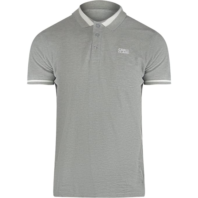 Cavalli Class Bold Stripe Collar Grijs Poloshirt
