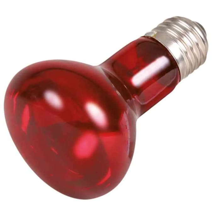 Infrarood warmtespots voor terrariums Trixie