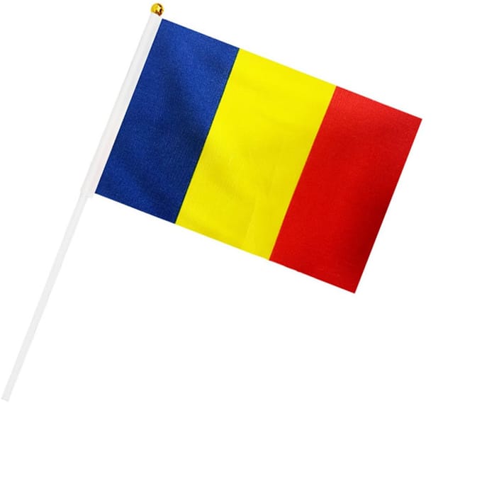 Dailygoods- Handvlag Dubbelzijdig 21 x 14 cm - 30 Stuks - Polyester