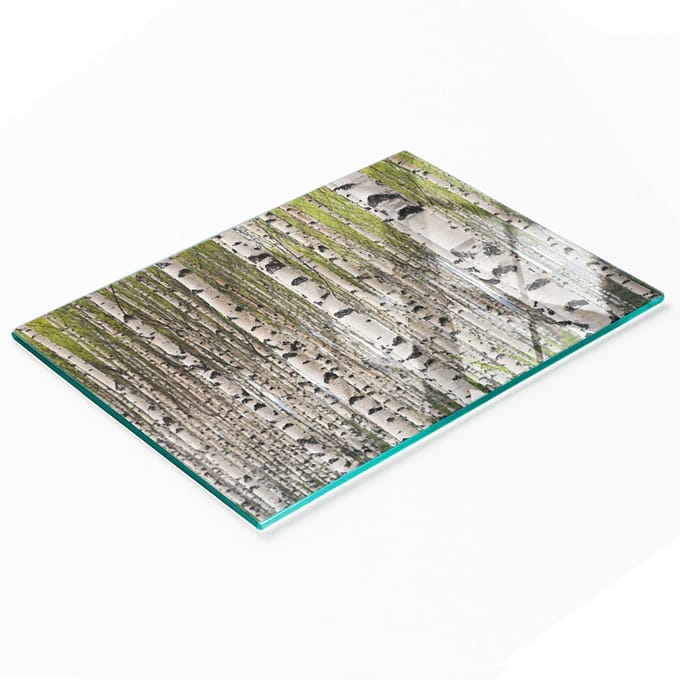 Decoratieve serveerplank van glas met berkenbosmotief, 80x52 cm