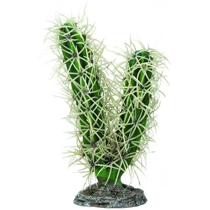 Cactus terrarium decoratie Hobby Simpson