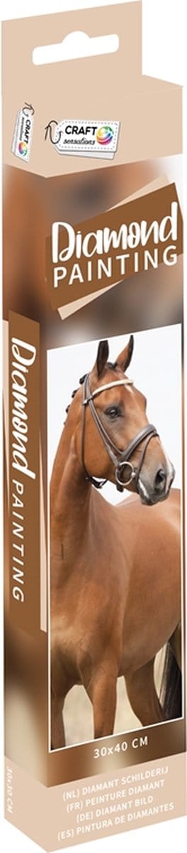 Grafix Diamond painting Paarden 30x40cm - ronde stenen