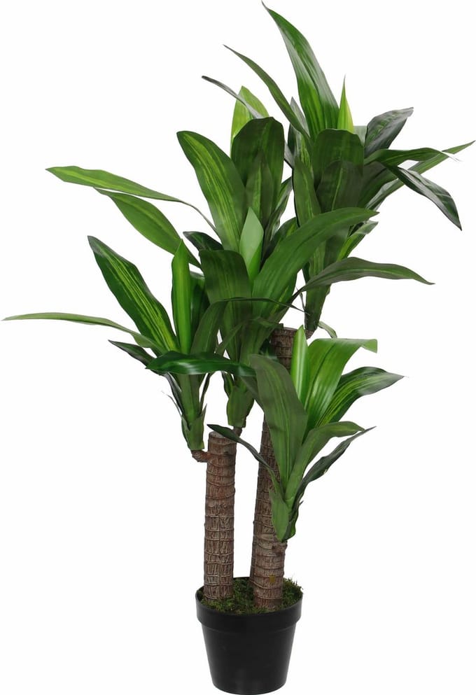 Mica Decorations Dracaena Kunstplant - H110 x Ø60 cm