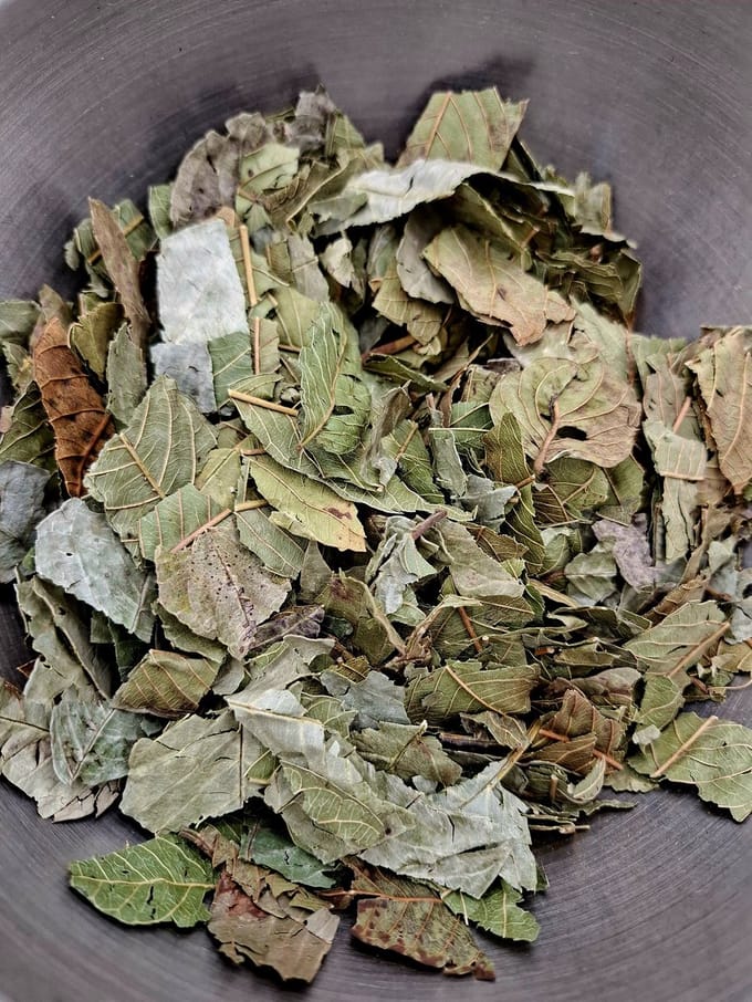 Guaveblad thee 50g