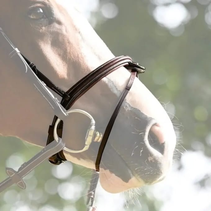 Combinatie paardenneusriem Jump'In Tuesday