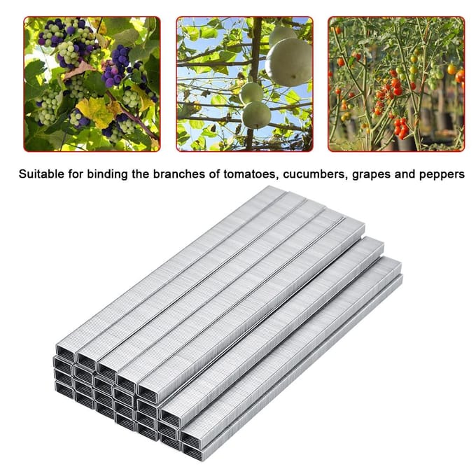 10000 stuks 604C Tomatenrankbinder Nagel Tapetool Tuin Nagel Tak Bindnagel gray