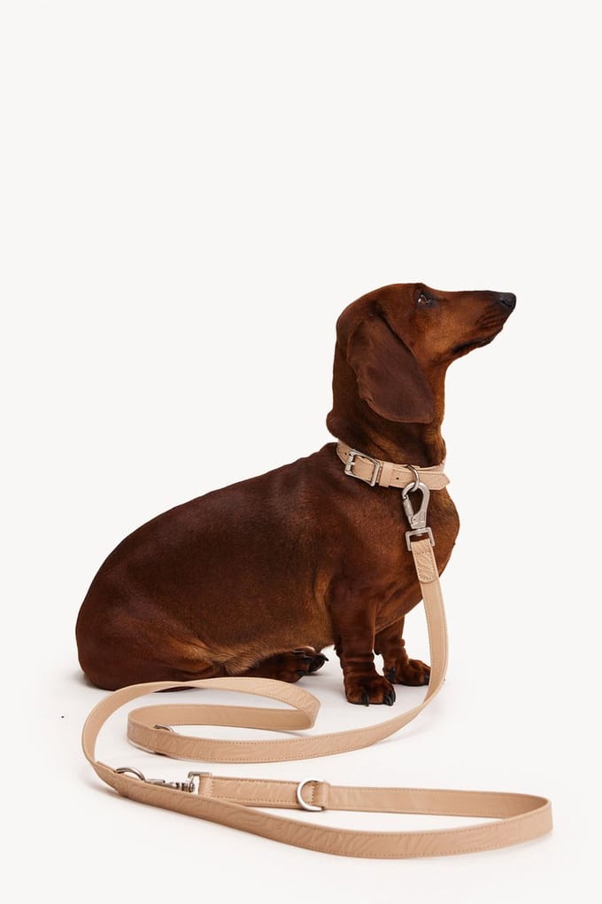 Dogguo Zebra Leash - Hondenriem - Beige
