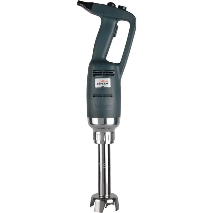 Variabele mixer Lacor Batidor profesional Brisk Serie 500