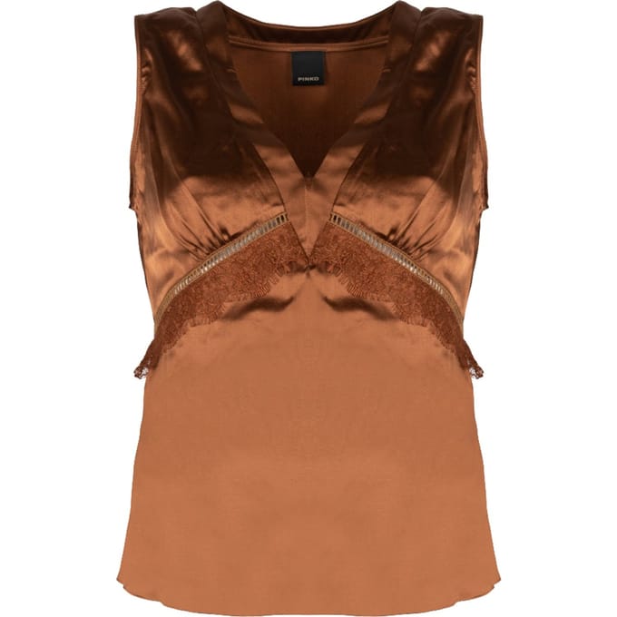 Pinko Top Sabino Vrouw bruin