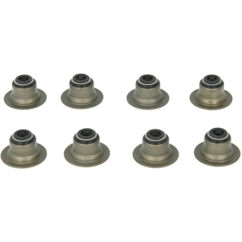 Klep afdichtingsset-PAYEN HR656