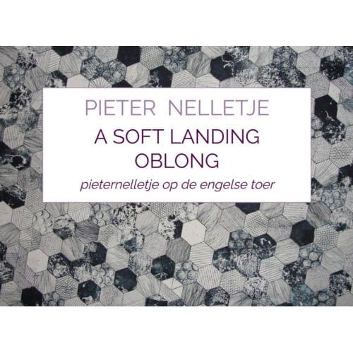 A Soft Landing Oblong - Pieter Nelletje
