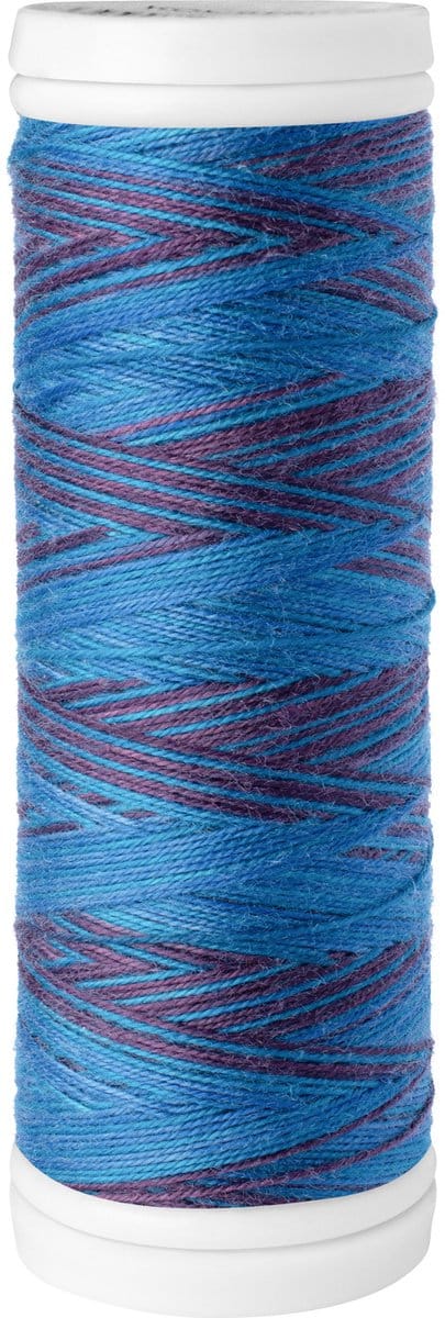 Ariadna Viga 80 Multikleur Garen - 150m Polyester