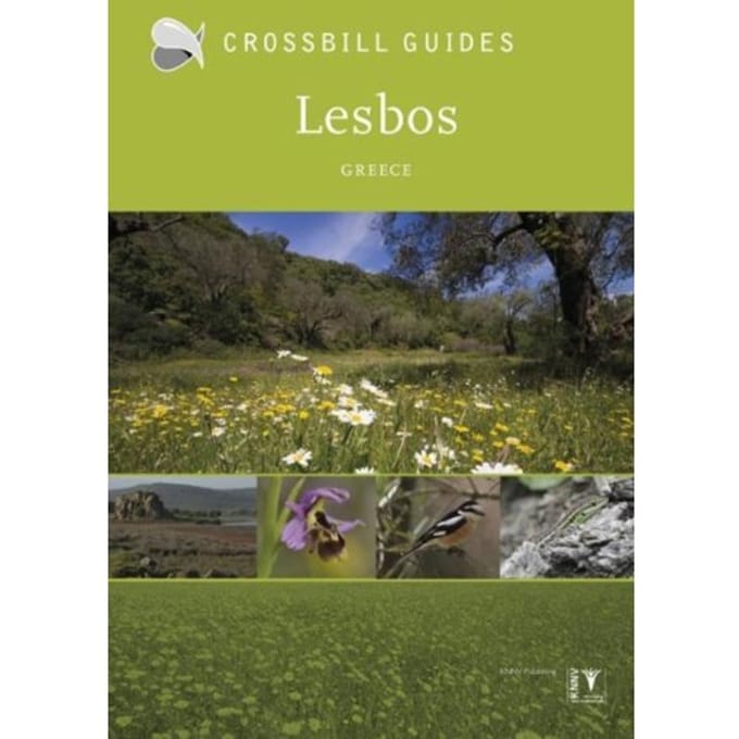 Lesbos - Crossbill Guides - Alex Tabak