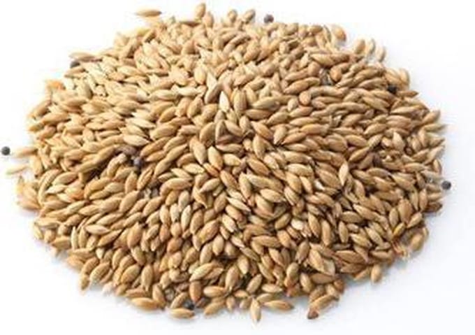 Vogelvoer  18 kg | Konacorn Kanariezaad