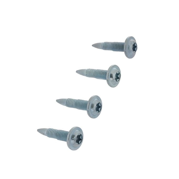AEG kit, schroeven, deur, 4pcs 4055973616