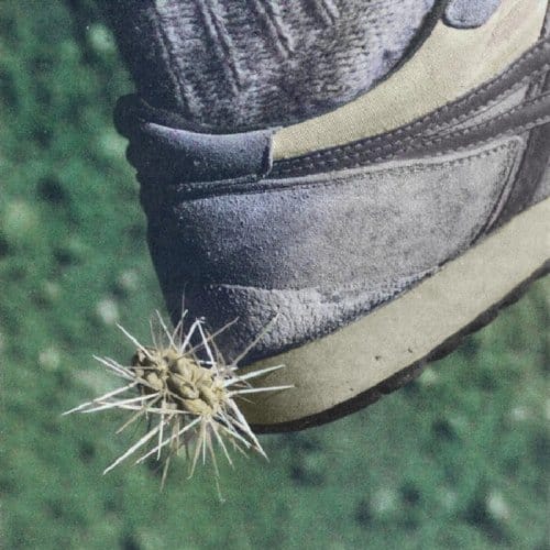 Ross From Friends - Tread (2 LP)