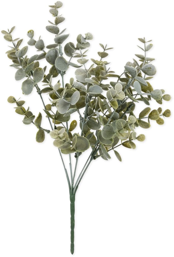 ARTYFETES - Boeket groene eucalyptusbladeren 35 cm plantendecoratie