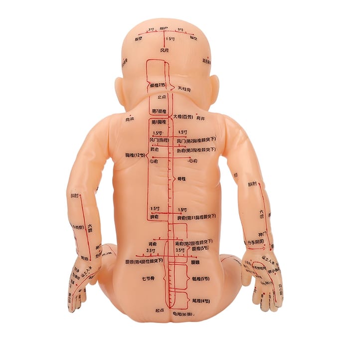 Modèle d'acupuncture Modèle de massage pour enfants Poupée d'entraînement pédiatrique Modèle d'acupuncture pour enfants beige