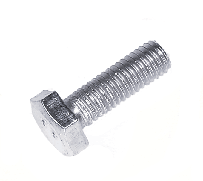 Screw