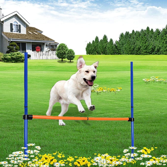 Draagbare Hondensport Agility Trainings Speelhek Paal Stok voor Buitensportuitrusting orange