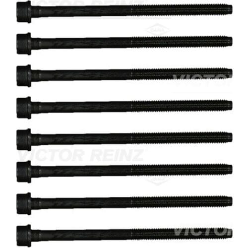 Cilinderkopbout set VICTOR REINZ 14-21800-01