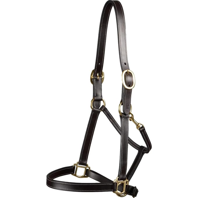 Halster voor paarden Premier Equine