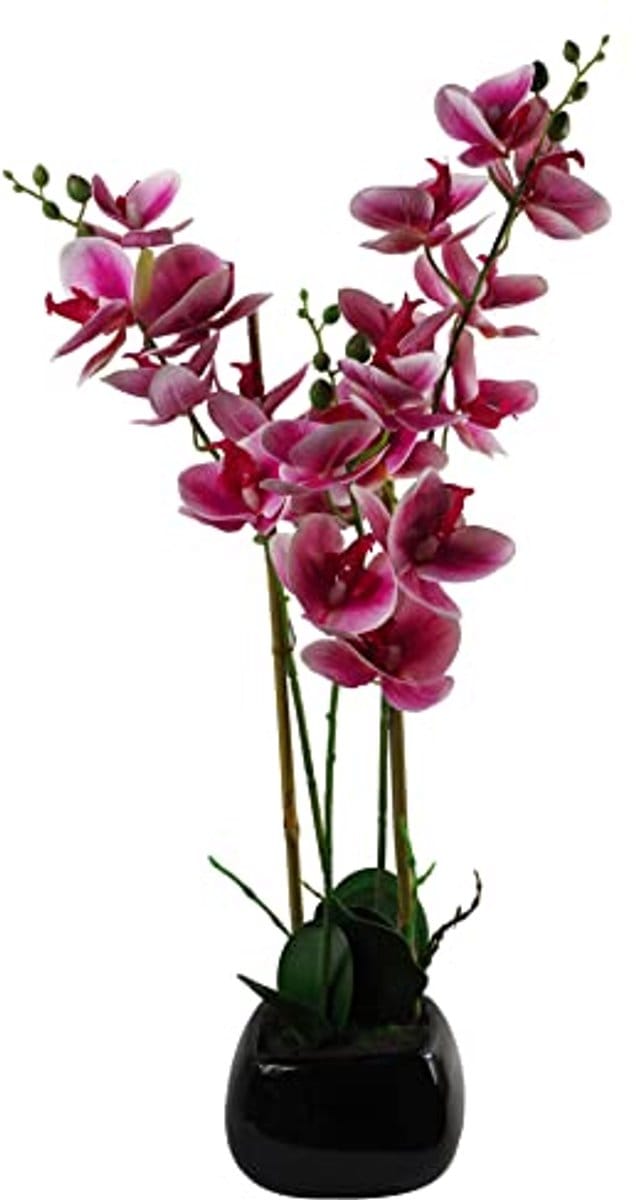 Kunstmatige Orchidee 70cm in Donkerroze en Zwart