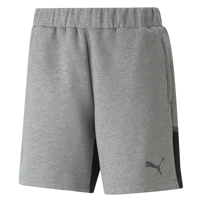 Puma Heren Teamcup Voetbalshorts (Medium Grijs)