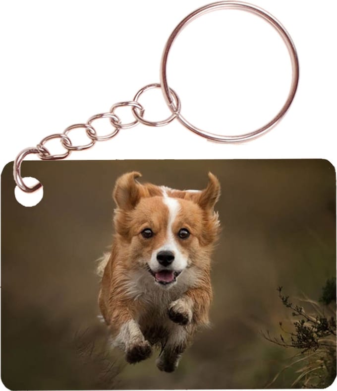 Sleutelhanger 6x4cm - Welsch Corgi Pembroke Hond