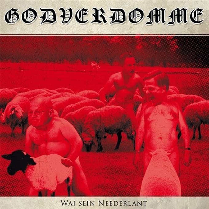 Godverdomme (Tim Steinford) - Wai Sein Neederland (LP)