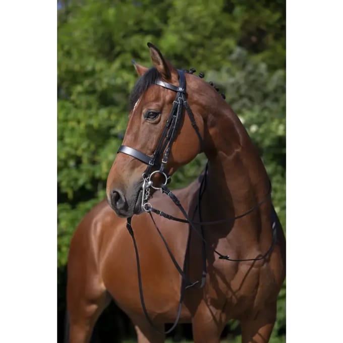Birde Riding World