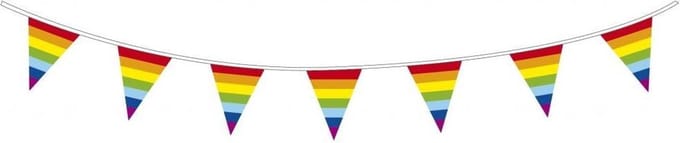 Vlaggenlijn Regenboog 10 meter