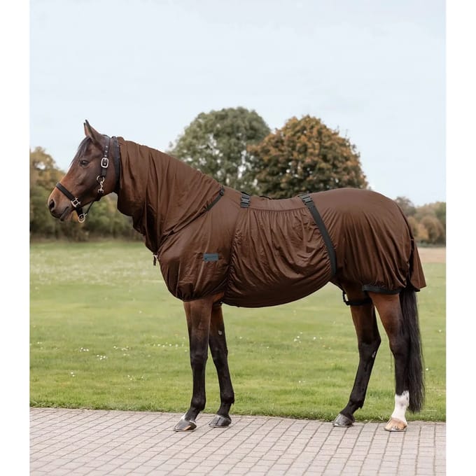 Insecten/zomer paardendeken Waldhausen Basic