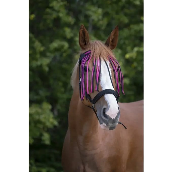 Frontaal voor paard Norton Chasse-mouches