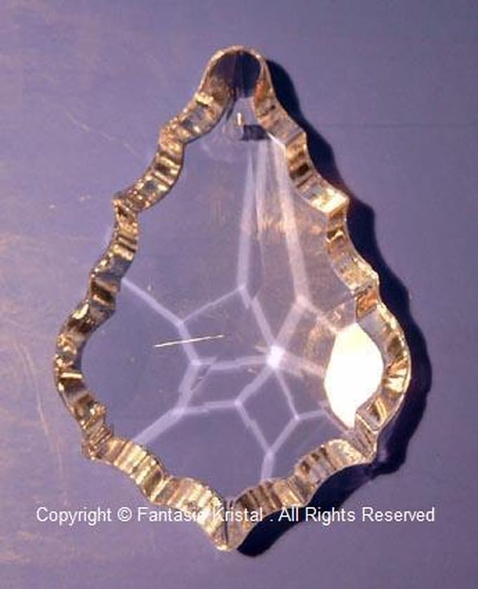 Schelp 5cm