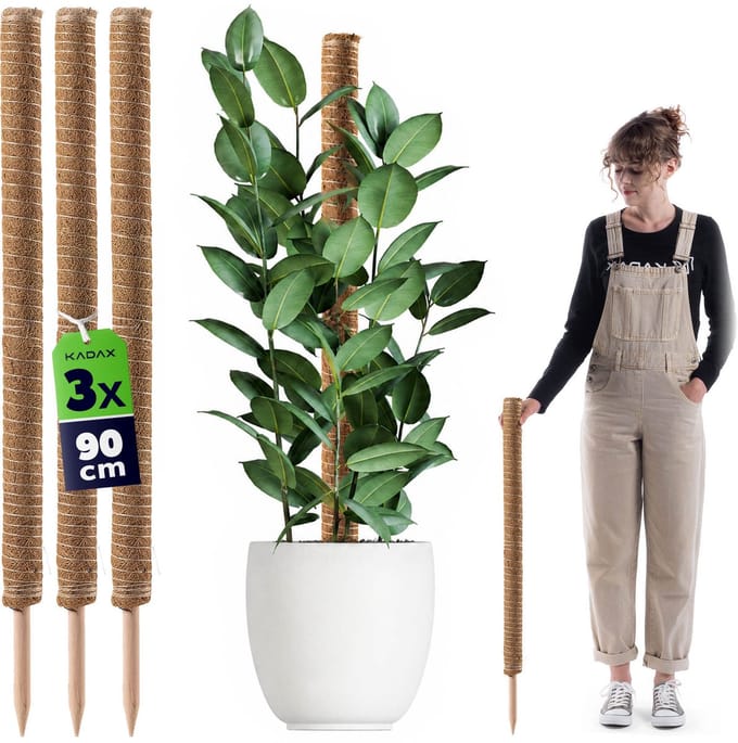 Cande kokosplantenstok 90 cm potsteun 3 st.