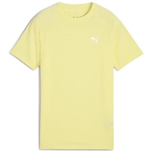 T-shirt Puma Evostripe