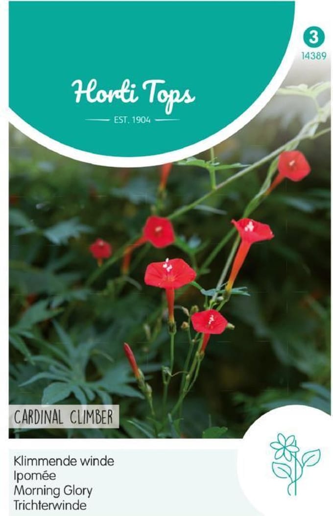 Hortitops Zaden - Kardinaalswinde Rood (Ipomoea quamoclit)