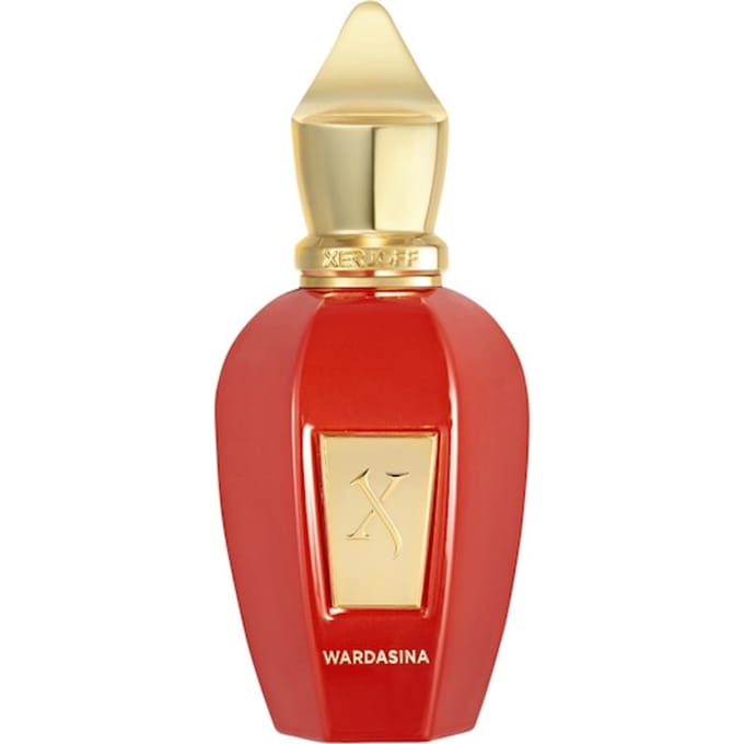 XERJOFF Vibe Collection Eau de Parfum Spray Herenparfum Unisex 50 ml