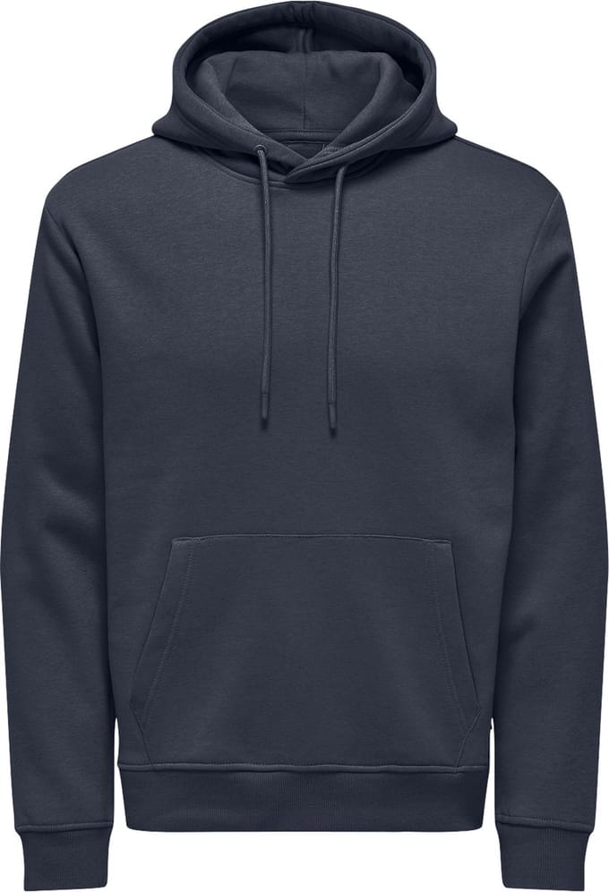 ONLY&SONS - ONSCONNOR LIFE REG SWEAT HOODIE NOOS - Heren - Sweaters