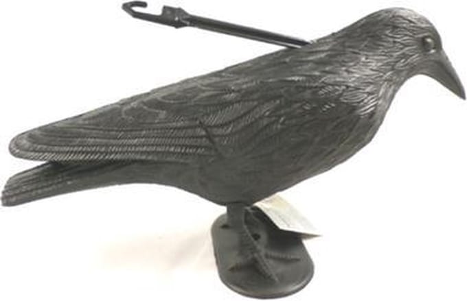 Vogelverschrikker kraai | Vogels verjagen | Anti-meeuw | Vogel overlast |