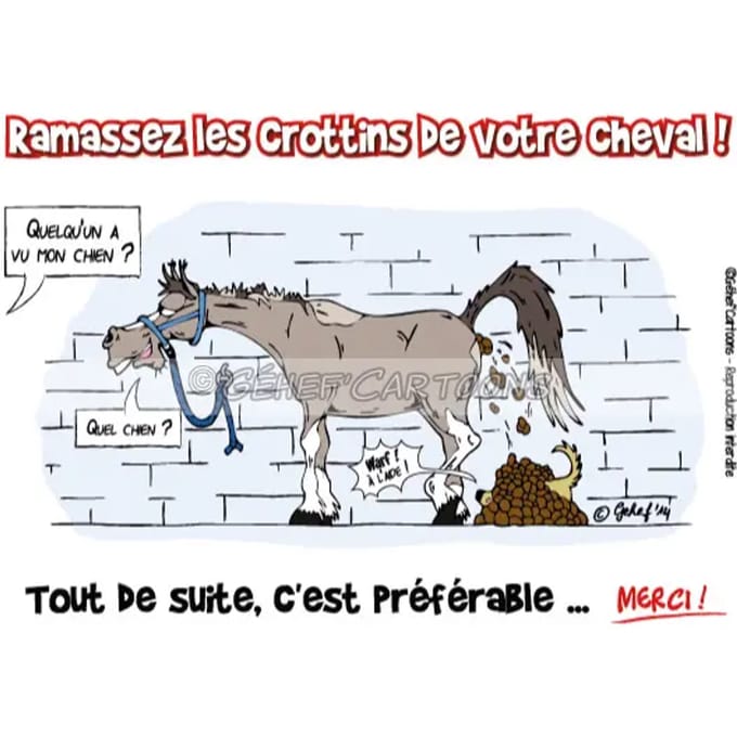 Humoristische plaquette crottoir Fr8Man