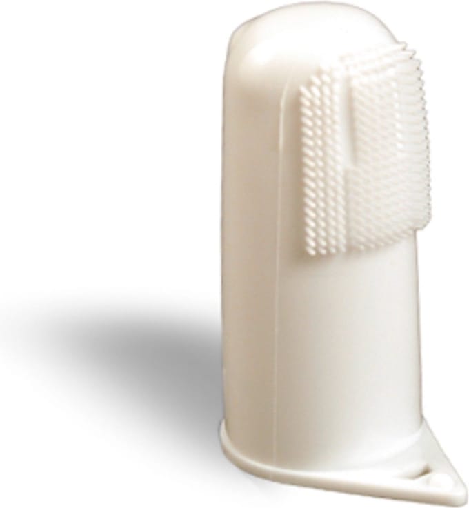 C.E.T. Tandenborstel Mini Hond / Kat - 8 stuks