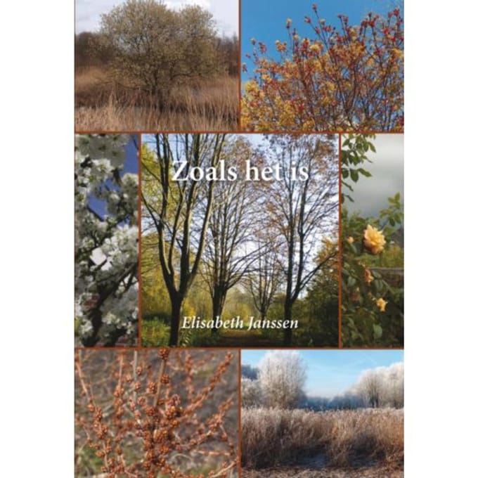 Zoals Het Is - Elisabeth Janssen