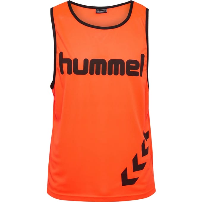 Kazuifel Hummel Training Fundamental