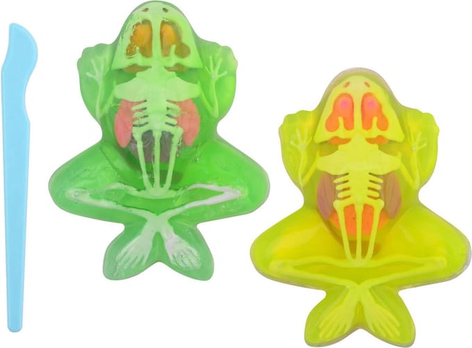 Johntoy Science Explorer Frog Anatomy Slime