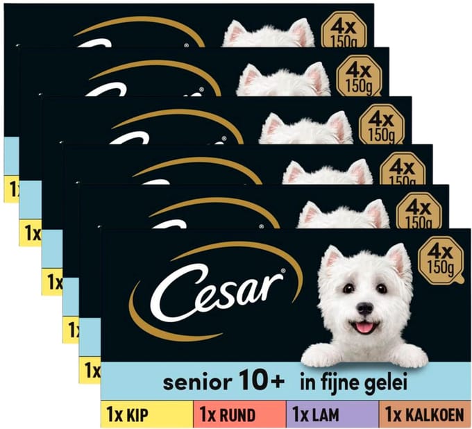 Cesar Hondenvoer - Senior 10+ - Mix in Gelei - Kuipjes - 24x150g